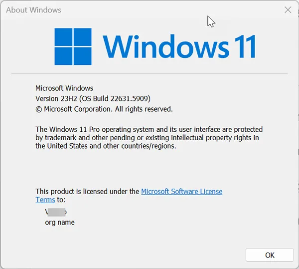 Windows 11 version build confirmation after repairs