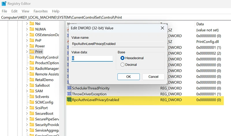 Registry Editor showing RpcAuthnLevelPrivacyEnabled DWORD set to 0 under Windows Print key