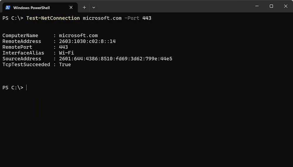 Windows 11 PowerShell Test-NetConnection results for troubleshooting internet connectivity