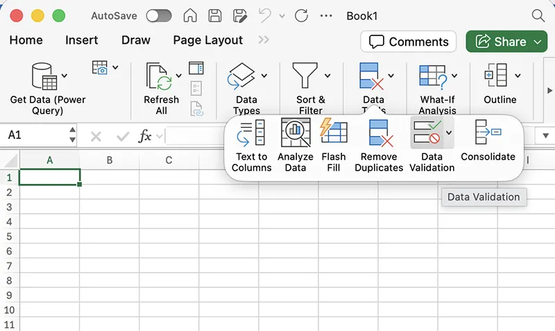 Excel for macOS Data tab showing Data Validation option