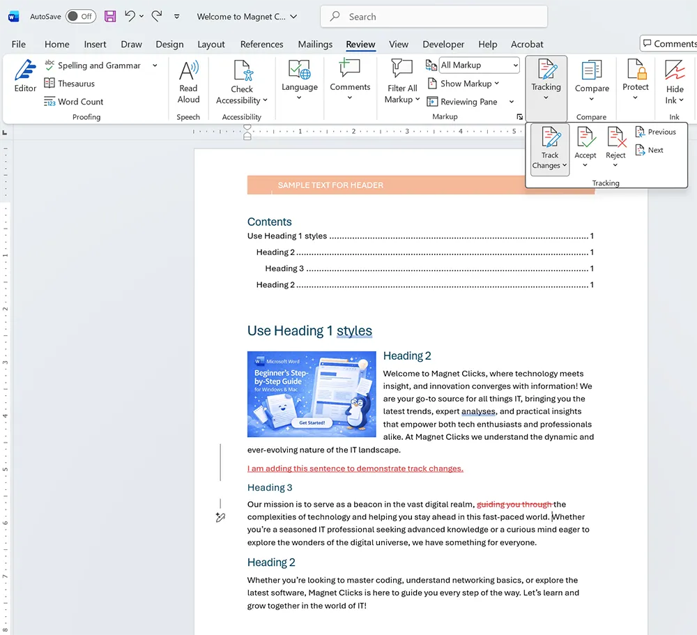 Microsoft Word Track Changes and comments example showing markup and comment sidebar